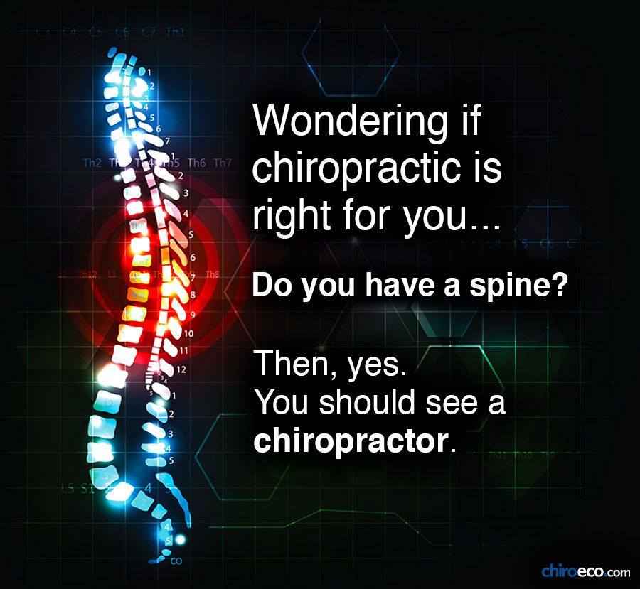 Brain-based chiropractic in Calgary helping reset the nervous system this spring at Brost Chiropractic